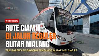 RUTE CIAMIK DI JALUR REGULER BLITAR MALANG || Trip PO Bagong Penguasa Blitar Malang PP