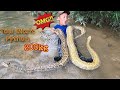 Part 3: The brave hunter team helps the young man escape the attack of two giant snakes