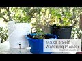 How to Make a Self-Watering Planter