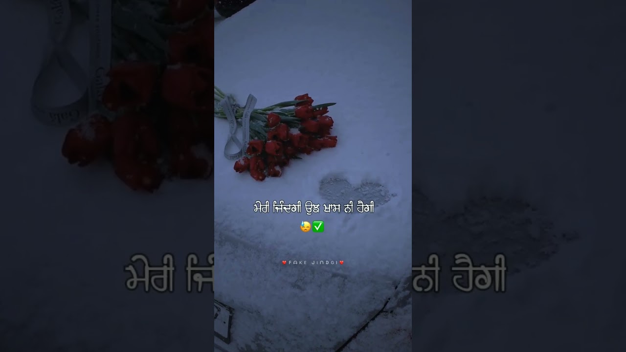 Punjabi Love Status ❤️ | New Heart Touching Status | Punjabi Shayari | 