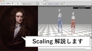 OpenSim Scaling完全解説 理学療法PTバイオメカニクス研究#3