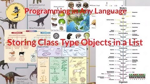 Storing Class Type Objects in a List