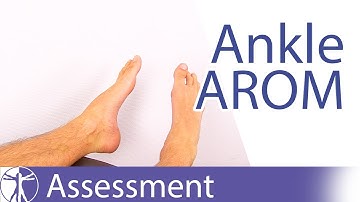 Active Range of Motion (Ankle & Foot)