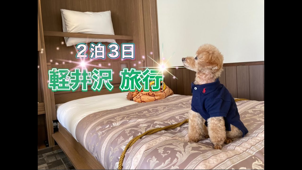 恒例旅行の軽井沢🐶２泊３日