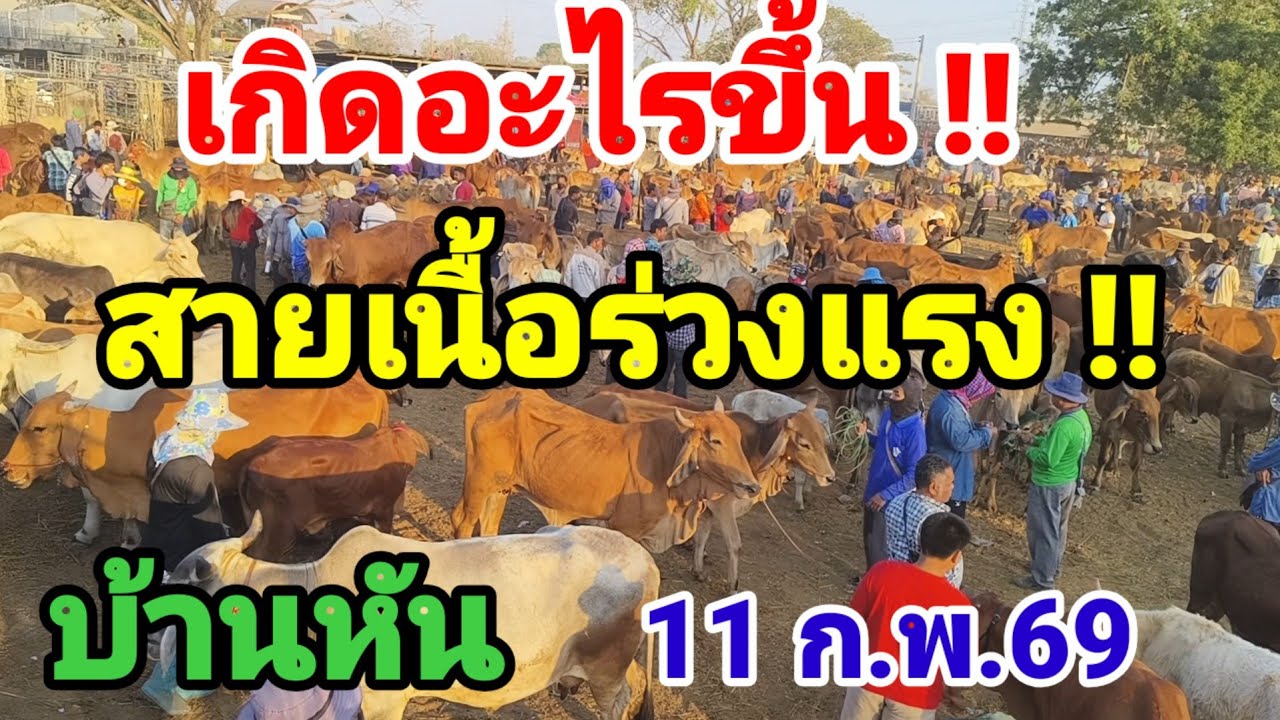 บ้านหันวันนี้สายเนื้อร่วงแรง  ของสวยยังแรงต่อเนื่อง