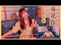 【二胡と古筝】周杰倫JayChou「菊花台」