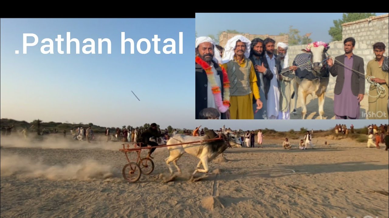 New bull radeJauary 2, 2026.pathan hotal