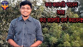 How to Count Your Calories to Lose Weight screenshot 3