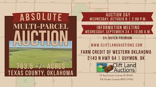 763.5 +/- Acre Texas County Absolute Land Auction | Clift Land Auctions