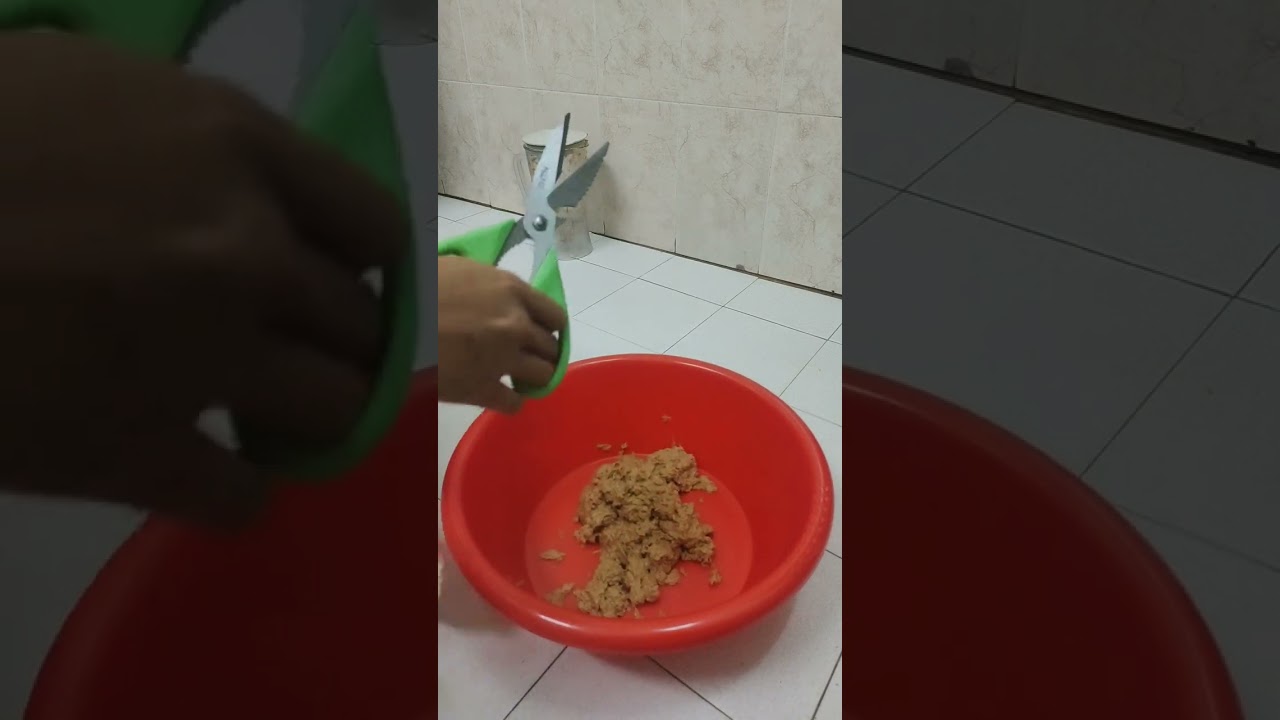 #cara Bikin umpan lilit sardin game kolam keli..bikin reel menjerit full video bancuhan Pali fishmax