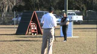 Jaeger Protection Ipo 3 93 Points