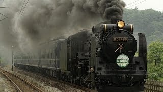 【JR東日本】D51-498+12系「SLみなかみ」 津久田駅通過 汽笛付き!