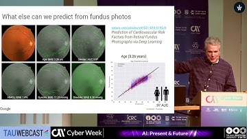 Deep Learning on Retinal Fundus Images, and Lessons Learned