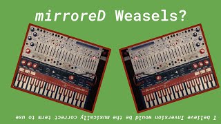 Mirrored Sequences
