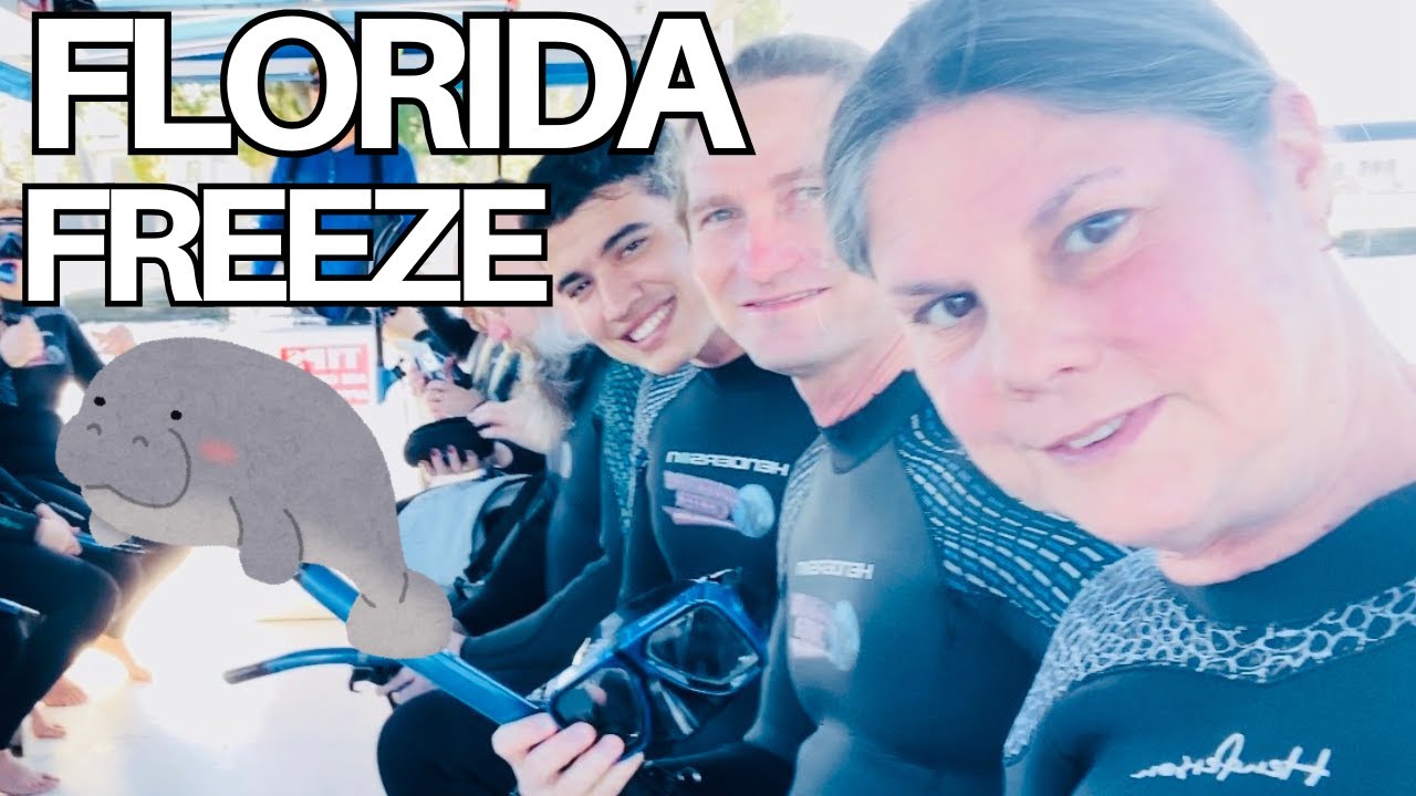 Плавание с ламантинами ❤️