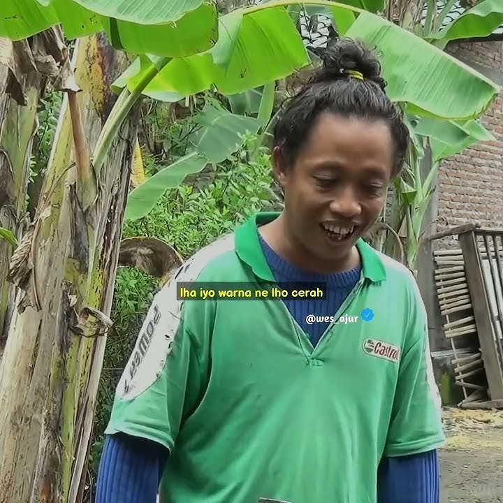 storywa wagundeso luci bahas taek #wes_ajur