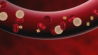 Ways to help prevent Peripheral Artery Disease | Wear The Gown
