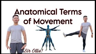 Anatomical Terms of Movement