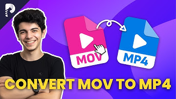 Best MOV to MP4 Converter for MAC and PC in 2025?