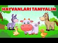 Hayvanları tanıtan eğitici anlatım 🐸
