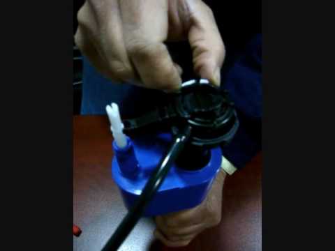 Mantenimiento Valvula Wc Toto Youtube