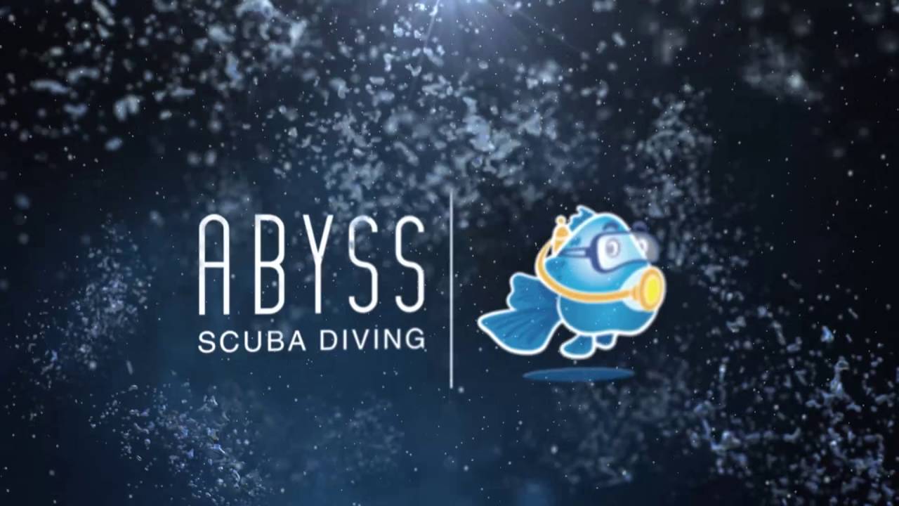 Abyss Scuba Boat Night Dives