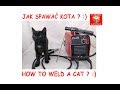 Jak humanitarnie spawać kota - czyli krótka przygoda początkującego spawacza.  How to weld a cat ?:)