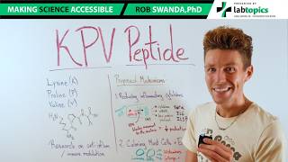 How does KPV (Peptide) Work?