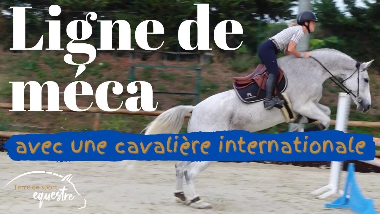 Ligne de mécanisation à l'obstacle