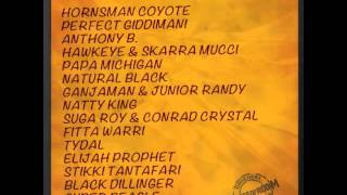 Hornsman Coyote Still Bones