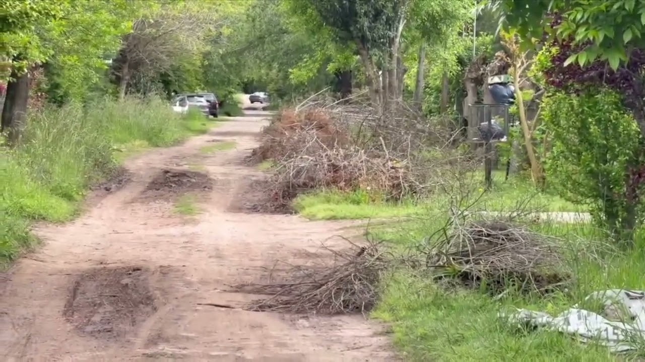 PARQUE SICARDI: Vecinos reclaman por montañas de poda sin levantar hace meses