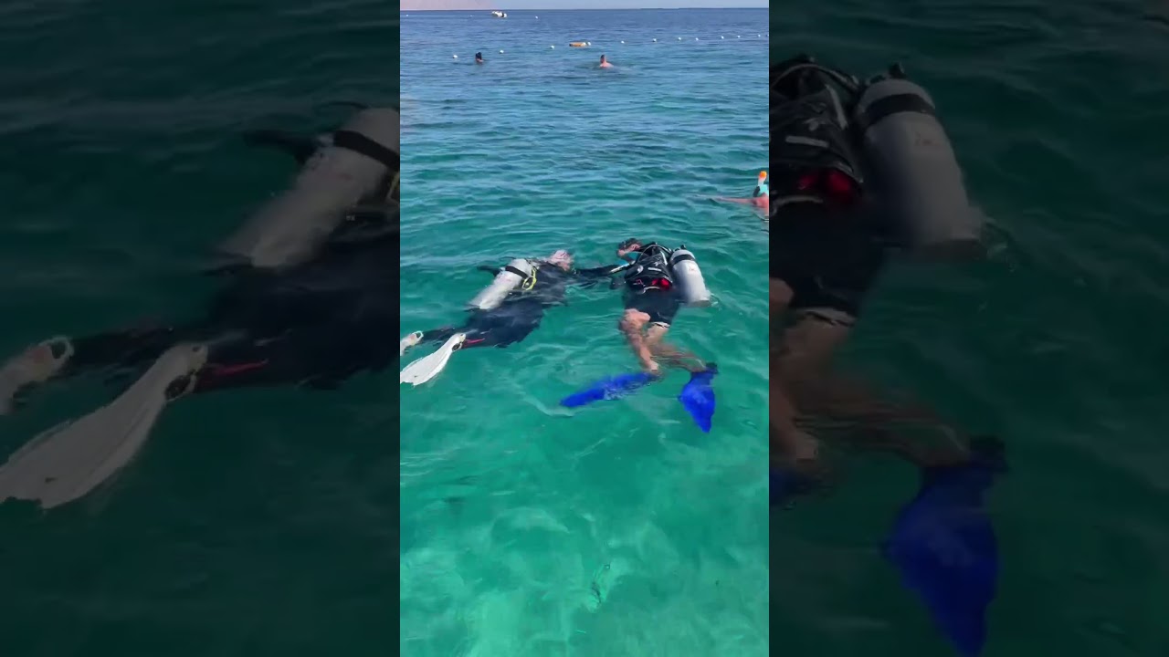 Time for diving. Бухта Sharks bay.Egypt. Red Sea. Египет. А теперь дайвинг. Шарм эль Шейх. Египет