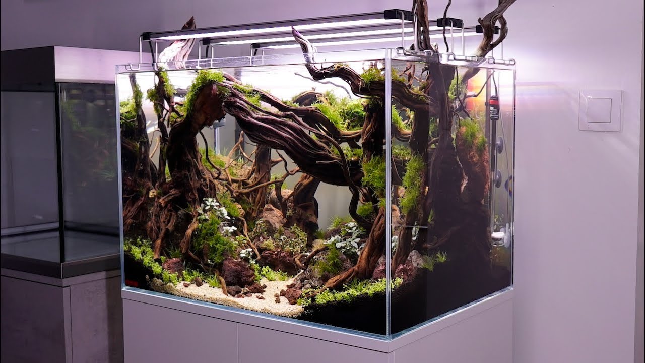 Eheim Proxima Scape: an aquarium dedicated to aquascaping 