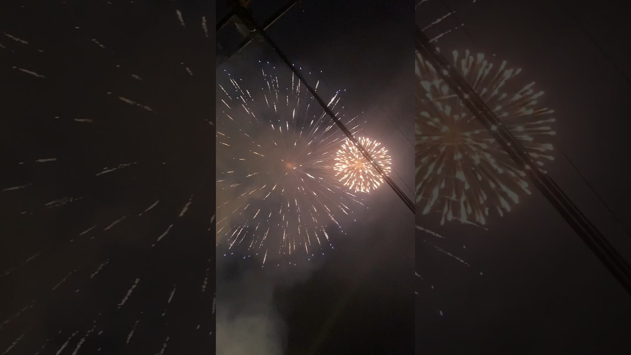 5 inch display shell🥥 