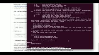 bwping-udp: a tool for network performance measurement