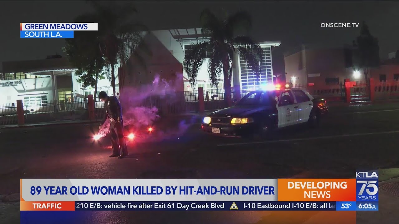 Hit-and-run driver strikes, kills 89-year-old woman in South L.A. - YouTube