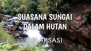Suasana Sungai Di Hutan | Suara Sungai Mengalir Deras | Relaksasi
