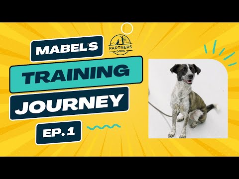 Mabel  Episode 1 video thumbnail