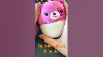 #cute #squishmallows #mysterysquad #squishmallowsquad #blindbox