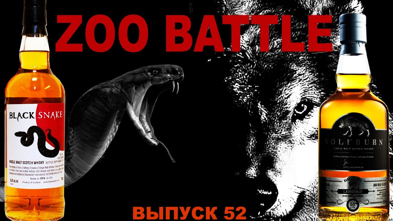 Выпуск 52. ZOObattle: Wolfburn Langskip &  Blackadder Black Snake 