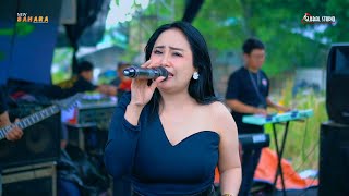 BUNGA DAHLIA - EGA OLSHOP | NEW SAHARA | GLOBAL STUDIO