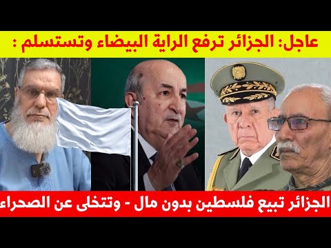 عاجل من يصدق الجزائر خرجت من فلسطين ومن الصحراء والتطبيع مع الصها ينة قريبا جدا علنا