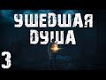 S.T.A.L.K.E.R. Ушедшая Душа #3. Новая Жизнь