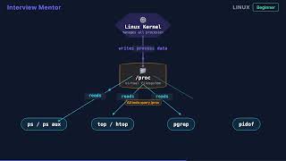 Linux Process Commands: ps, top, htop Explained