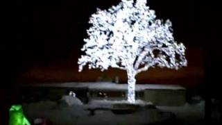 Famous LED Oak Tree Lights Up The Twin Cities Sky Net Worth