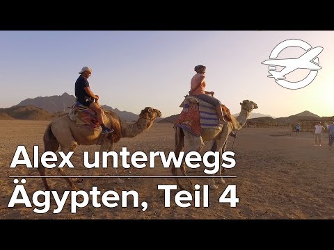 Port Ghalib in Ägypten: Ausflüge rund um das Resort ✈️ Alex Unterwegs ✈️