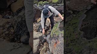 sabes que es esto?#youtube #viral #explore