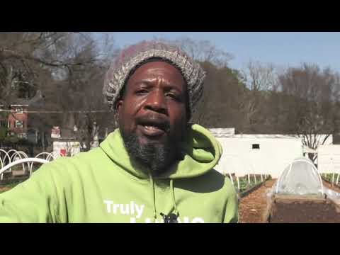 Tk Todaycraigslist Atlanta Georgia Farm And Garden