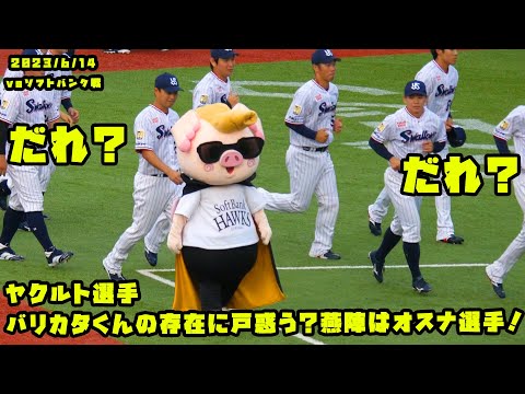 ヤクルト選手　バリカタくんの存在に戸惑う？　燕陣はオスナ選手！　2023/6/14 vsソフトバンク