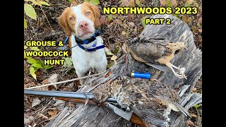 Grouse and Woodcock Northwood 2023 Part 2 by Upland Wild 1,554 views 5 months ago 18 minutes